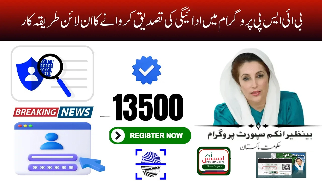 BISP 8171 Payment Verification