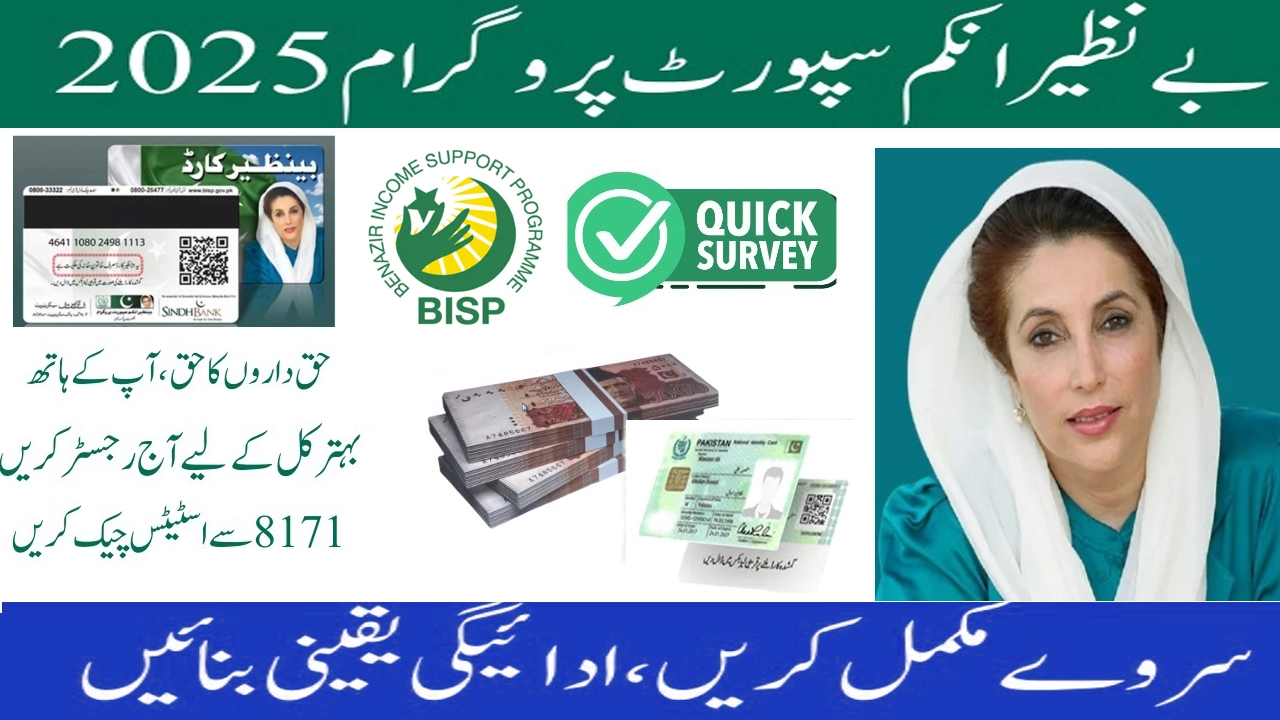 BISP Survey 2025