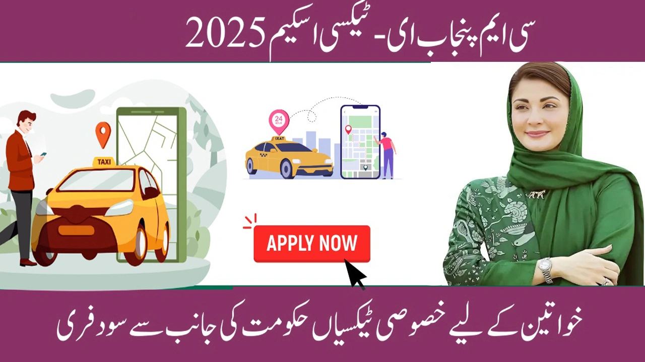 CM Punjab E-Taxi Scheme 2025