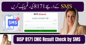 Step-by-step Ehsaas Program CNIC Check Online through 8171 portal and SMS service